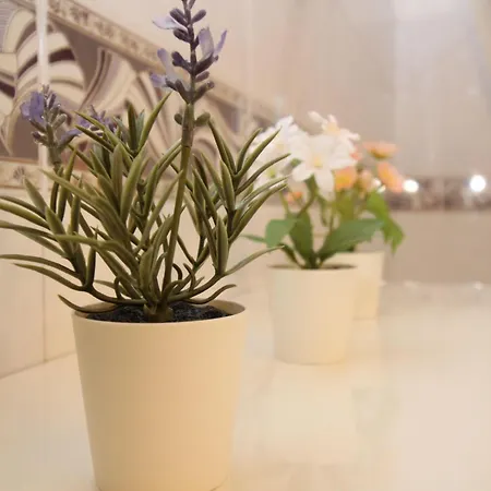 Holiday-house-camelia-600-meters-from-the-beach Apartman La Caletta