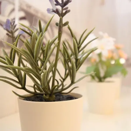 Apartman Holiday-house-camelia-600-meters-from-the-beach La Caletta