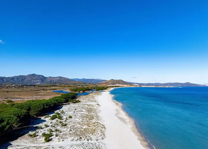 公寓 Holiday-house-camelia-600-meters-from-the-beach